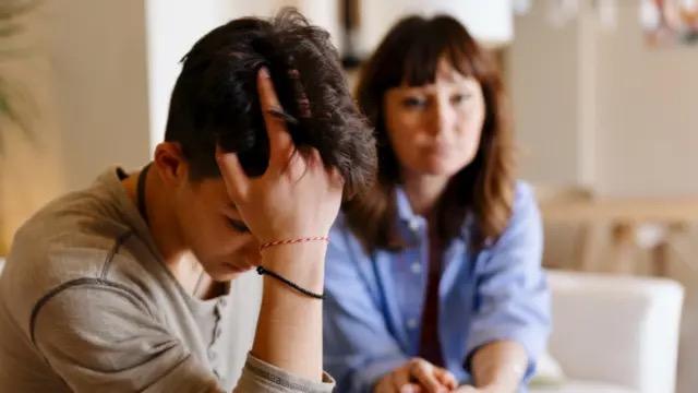 EDUCAR NO ES COSA SÓLO DE VALORES... -familia y virtudes humanas-.